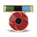AOSM Greater Middle East Ribbon Poppy Lapel Pin